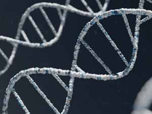 DNA Basics for Genealogists